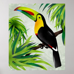 Affiche Jungle Toucan