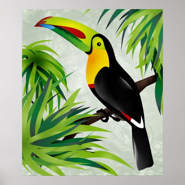 Affiche Jungle Toucan (Devant)