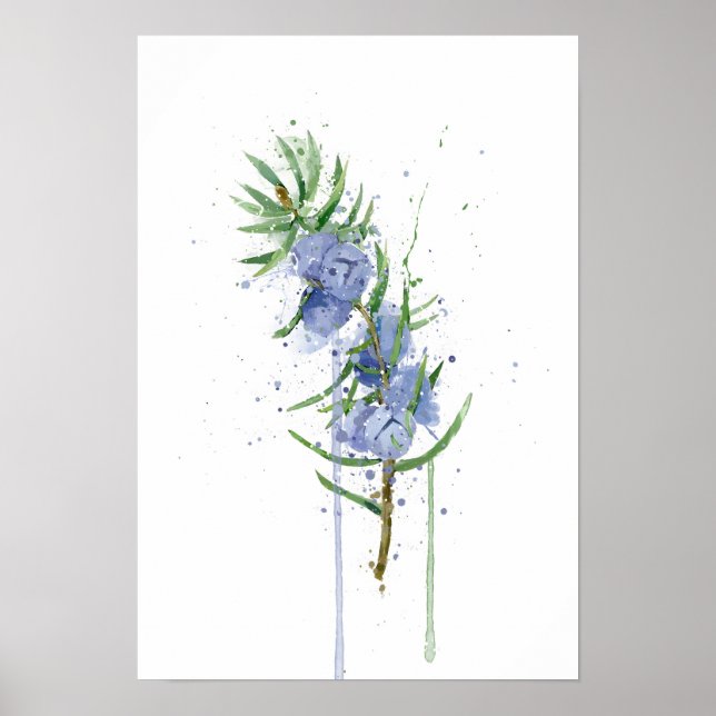 Affiche Juniper (Devant)