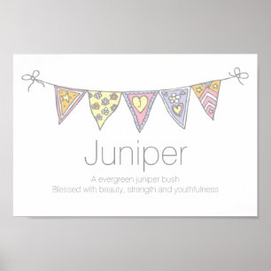 Affiche Juniper Girls nom et signification de l'affiche de