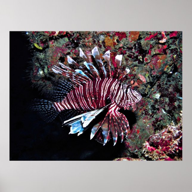 Affiche Jupiter Invader (Devant)