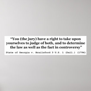 Affiche Jury Nullification State of Georgia vs Brailsford