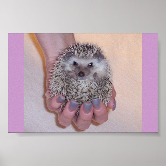 Affiche Just a Handful Hedgehog (Devant)