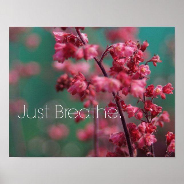 Affiche Juste Breathe (Devant)