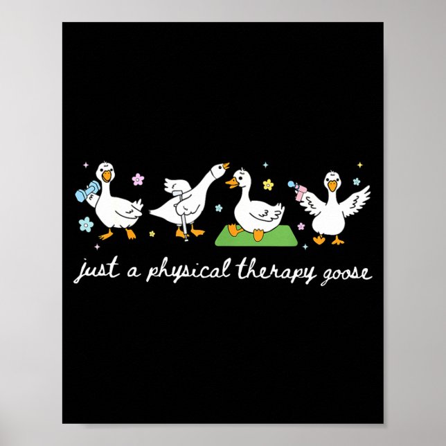 Affiche Juste Thérapie Physique Oie Pt Physique (Devant)