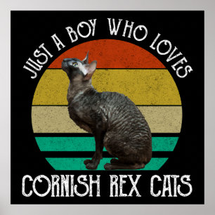 Affiche Juste un garçon qui aime les chats Cornish Rex