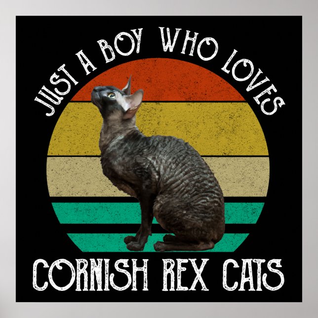 Affiche Juste un garçon qui aime les chats Cornish Rex (Devant)