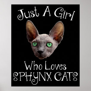 Affiche Juste Une Fille Qui Aime Les Chats Sphynx