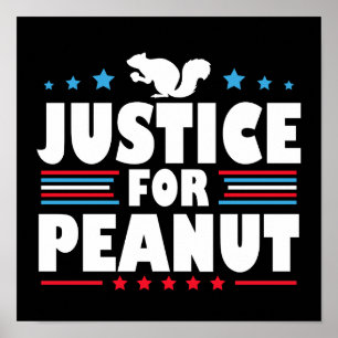 Affiche Justice pour Peanut l'écureuil