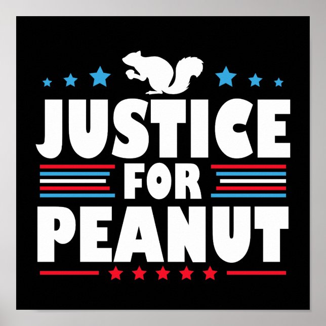 Affiche Justice pour Peanut l'écureuil (Devant)