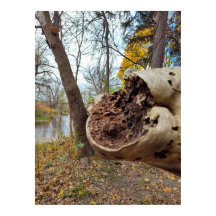 Juxtposition de Décay et de Vie