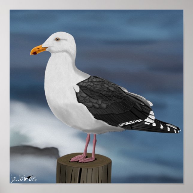 Affiche jz.birds Möwe (Devant)