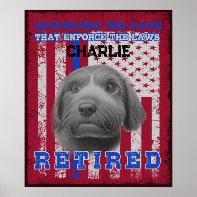 Affiche K-9 Vétéran de travail espagnol chien d'eau person (Devant)