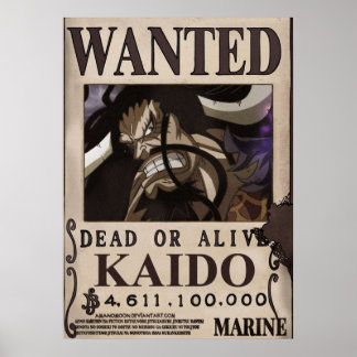 Affiche Kaido Recherché Bounty