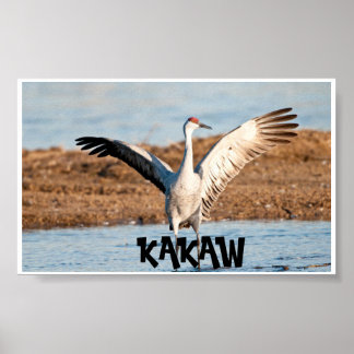 Affiche KAKAW
