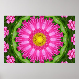 Affiche Kaleidoscope Aster
