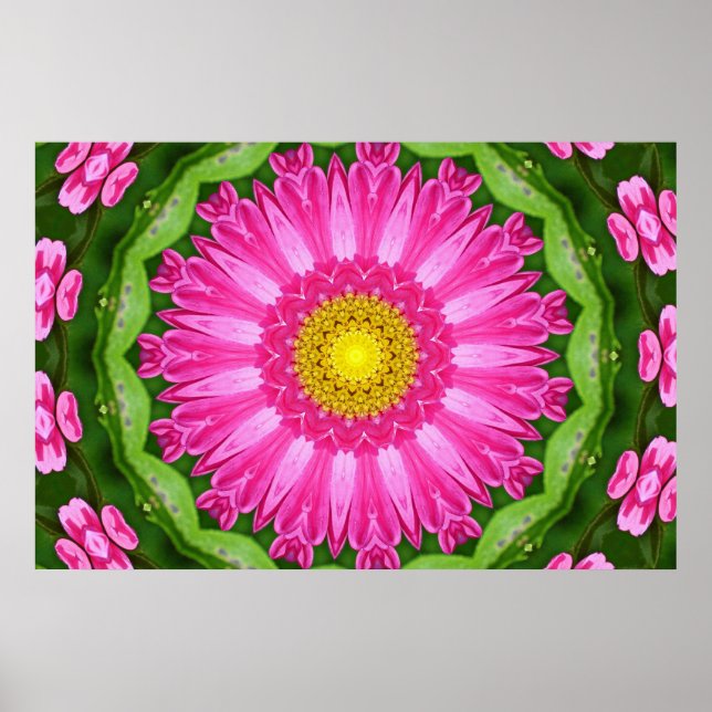 Affiche Kaleidoscope Aster (Devant)