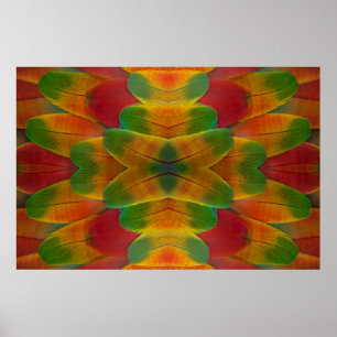 Affiche kaléidoscope de plumes de perroquet ara