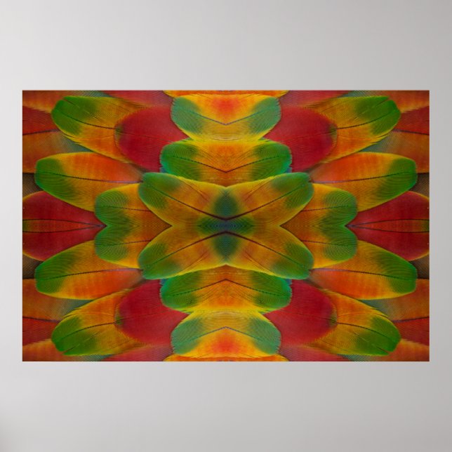 Affiche kaléidoscope de plumes de perroquet ara (Devant)