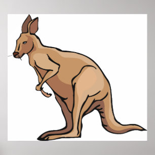 Affiche Kangaroo