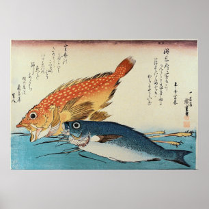 Affiche Kasogo & Himedai - Estampe japonaise de poissons d