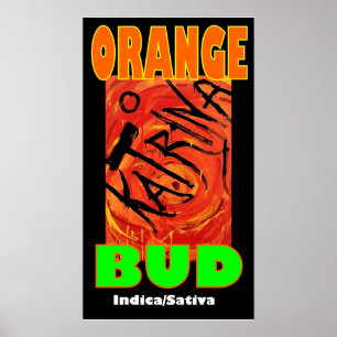 AFFICHE KATRINA ORANGE BUD