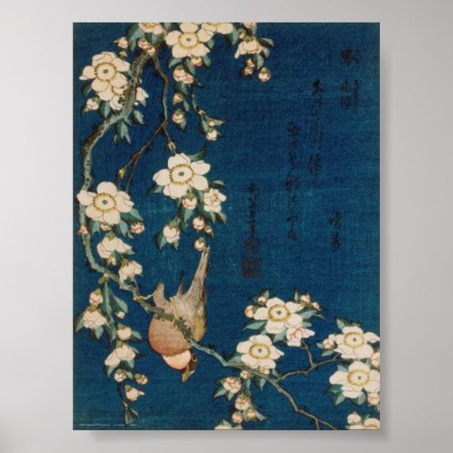 Affiche Katsushika Hokusai 葛 飾 北 Goldfinch et Cherry Tree (Devant)
