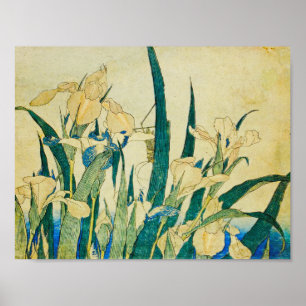 Affiche Katsushika Hokusai-Blossoming Irises and Grasshopp