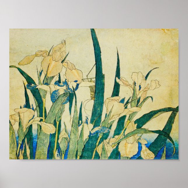 Affiche Katsushika Hokusai-Blossoming Irises and Grasshopp (Devant)