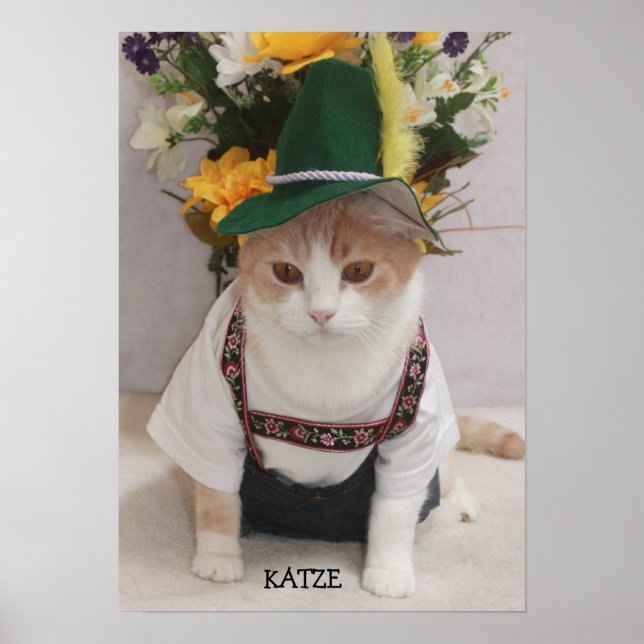 Affiche KATZE/CAT Drôle Chat allemand (Devant)