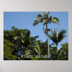 Affiche Kauai, Hawaï