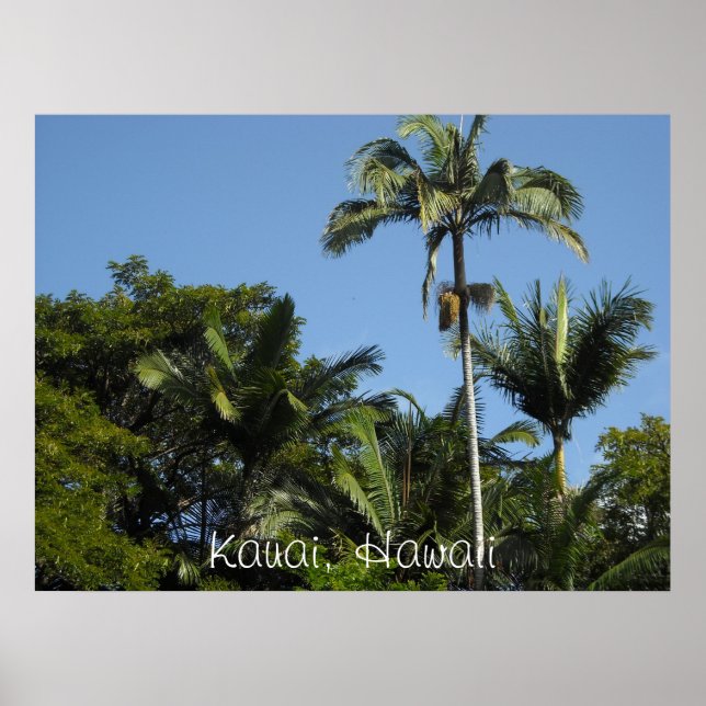 Affiche Kauai, Hawaï (Devant)