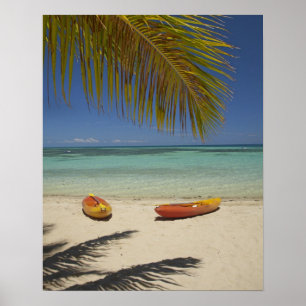 Affiche Kayaks sur la plage, Plantation Island Resort