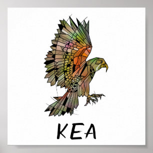 Affiche Kea (Nouvelle-Zélande)