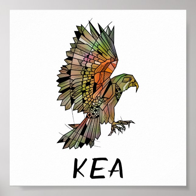 Affiche Kea (Nouvelle-Zélande) (Devant)