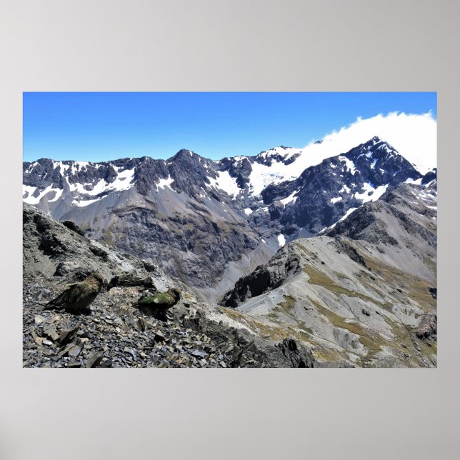 Affiche Kea Pair sur Avalanche Peak (Devant)