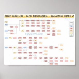 Affiche Keenan Cornelius - Ringworm Guard - Flowchart v1