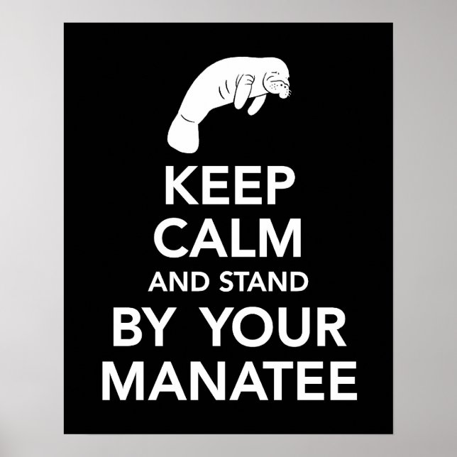 Affiche Keep Calm and Stand by your Manatee print (Devant)
