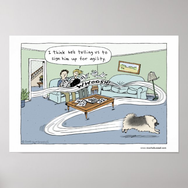 Affiche Keeshond "Agilité du salon" (Devant)