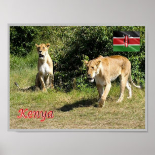 Affiche Kenya - Lionesses -