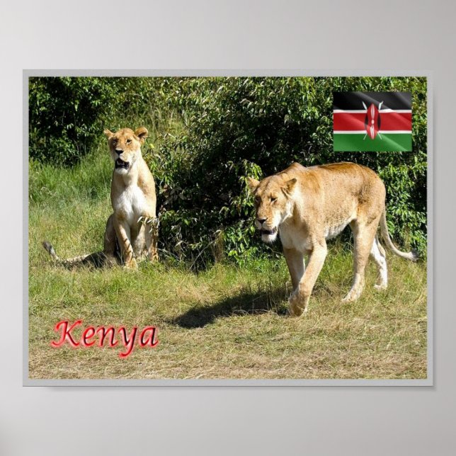 Affiche Kenya - Lionesses - (Devant)