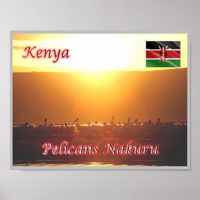 Affiche Kenya - Pelicans Nakuru - (Devant)