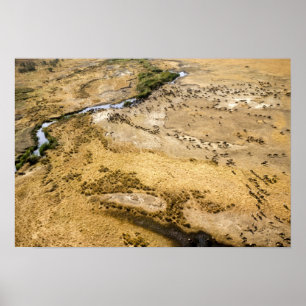 Affiche Kenya : Réserve nationale Masai Mara, Mara