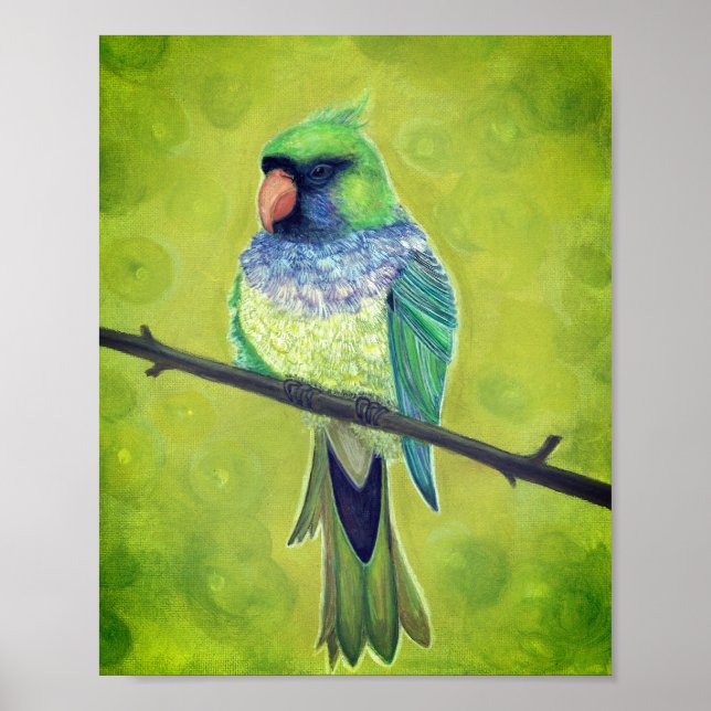 Affiche Kesha (Devant)