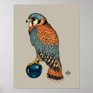 Affiche Kestrel américain sur une boule de verre bleu