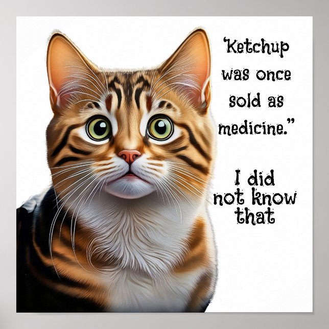 Affiche Ketchup vendu en médecine (Devant)