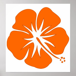 Affiche Ketmie orange