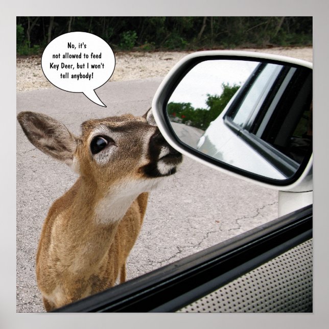 Affiche Key Deer parlant (Devant)