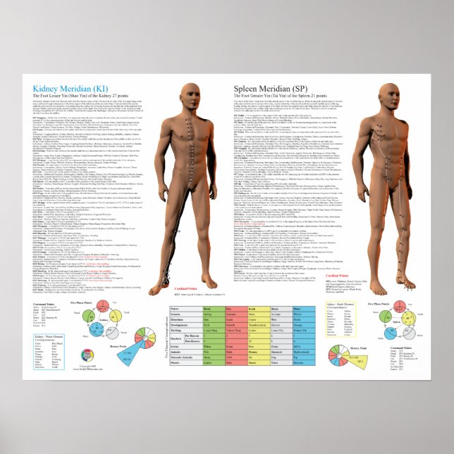 Affiche Kidney Meridian Acupuncture Points (Devant)