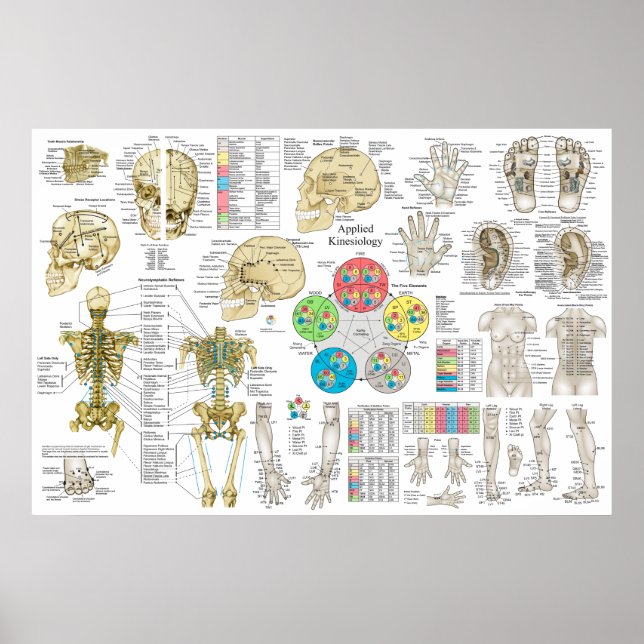 Affiche Kinéiologie appliquée Chiropratique Ostéopathe Pos (Devant)